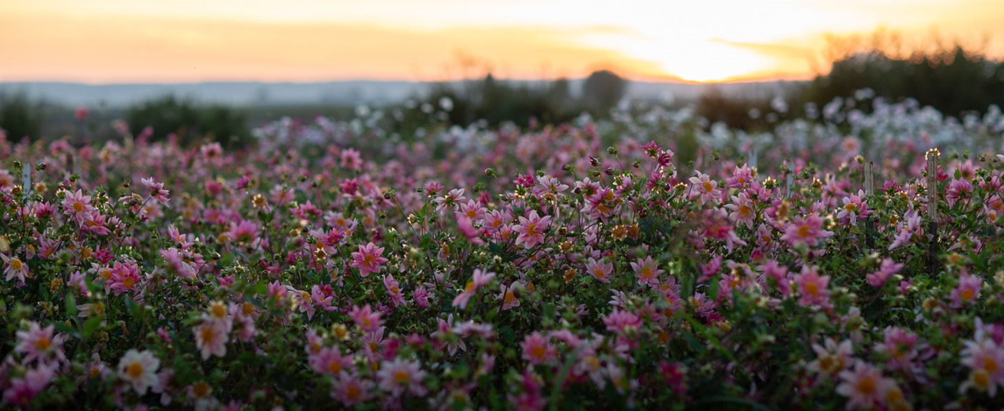 Meet the 2025 Floret Scholarship Winners